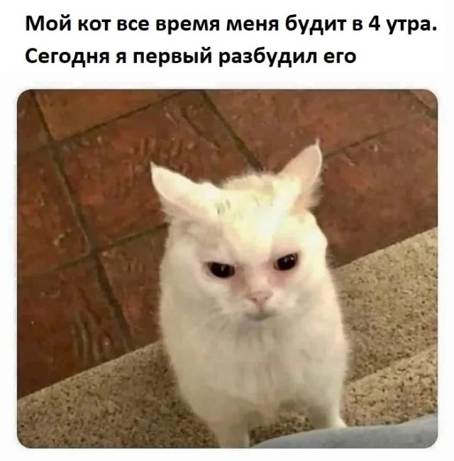 Так себе картинки 18.02.25