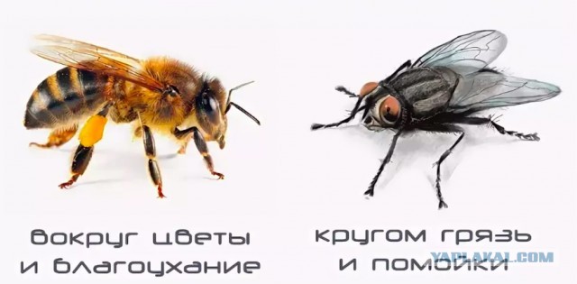 Как делают медь
