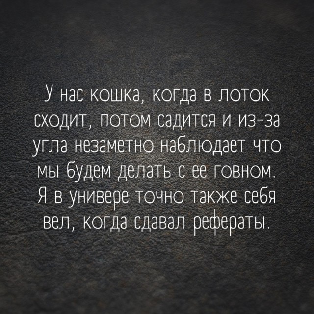 Так себе картинки 16.03.25