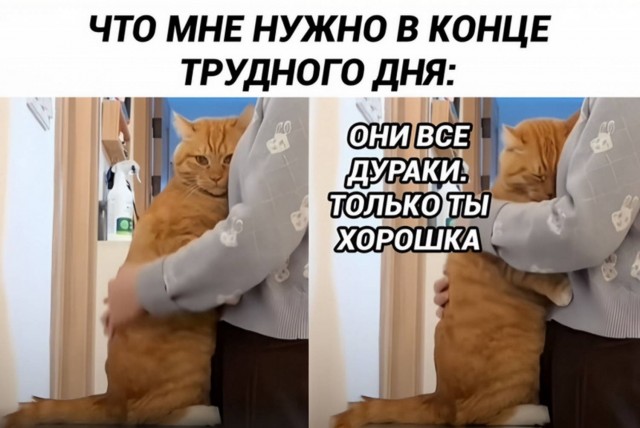Веселые картинки в пятницу (11.07)