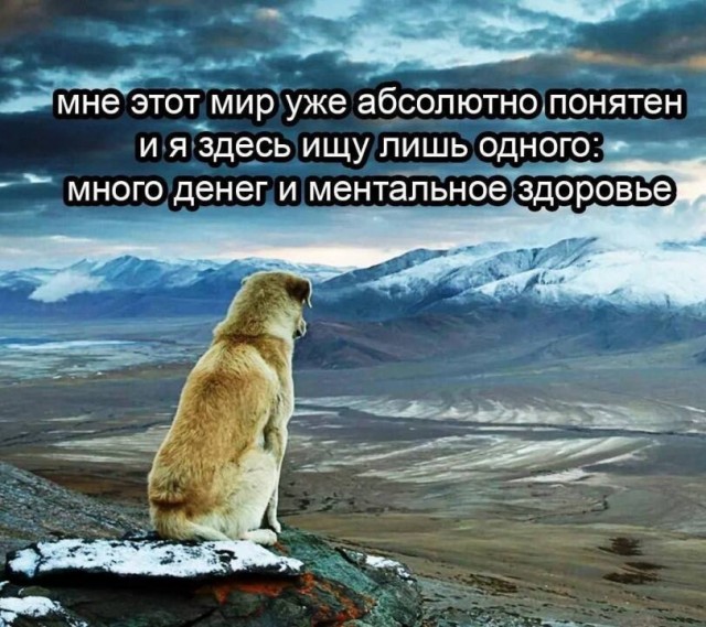 Картинки для деградации 85 (разной степени свежести)