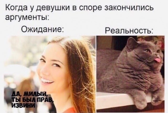 Субботние картинки