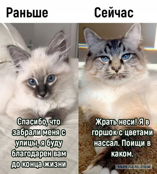 Так себе картинки 26.11.25