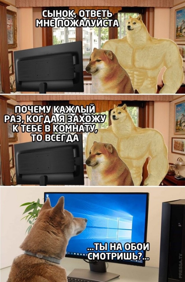 Веселые картинки в маленькую пятницу (06.05)
