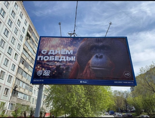 Прокуратура и РКН начали проверку баннеров в Новосибирске в честь 9 Мая, на которых изображена обезьяна