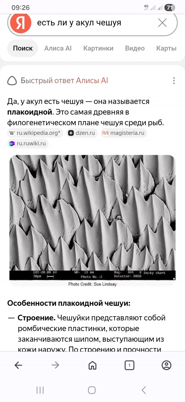 Как я впервые в жизни наелась рыбой