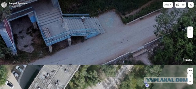 Собака
