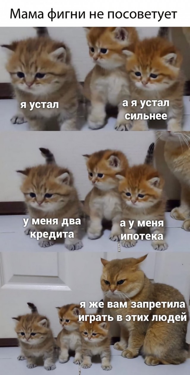 Веселые картинки в маленькую пятницу (21.10)