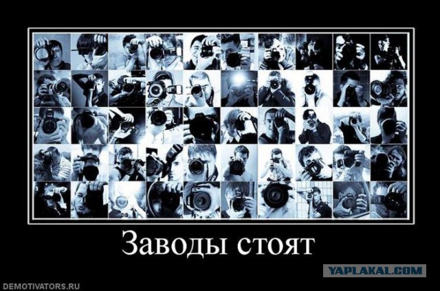 Собственный бизнес или "сбылась мечта идиота"