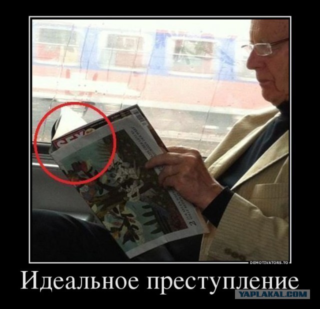 Фотки из интернета.