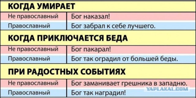 А ведь он прав!