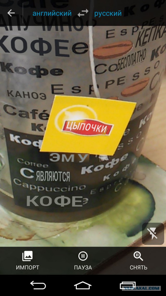 Неисчерпаемый источник хорошего настроения