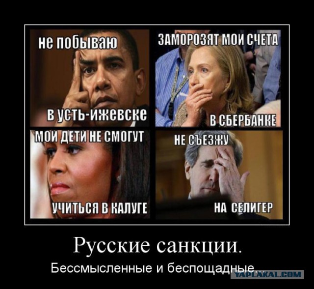 Политотка 4