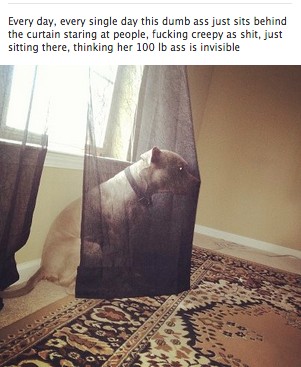 Невидимость