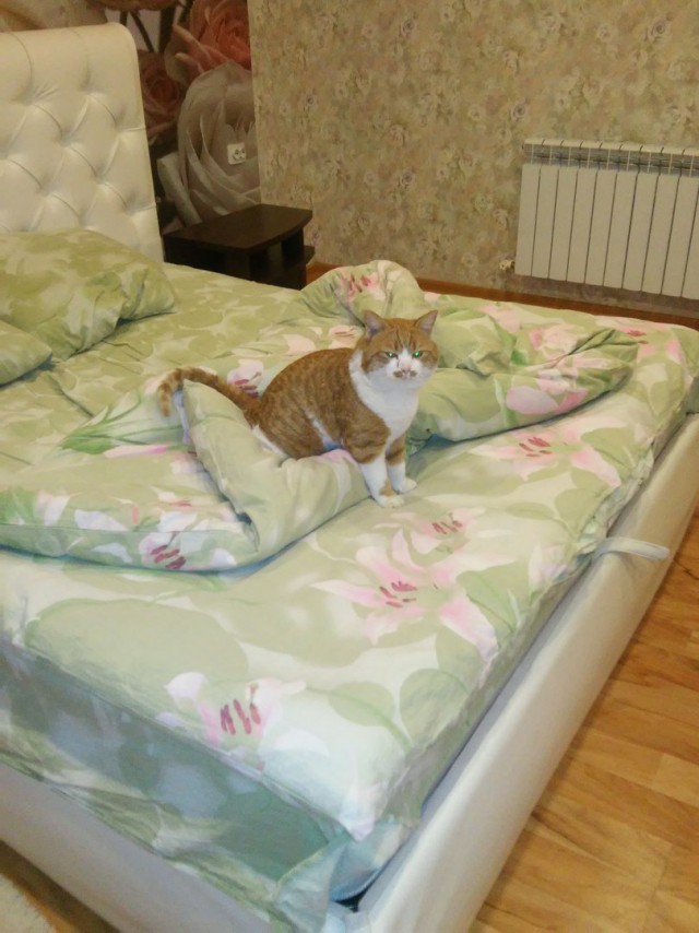 Подкинули в подъезде