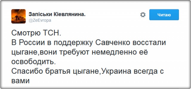 Приземлилась недолетчица. Савченко признали виновной