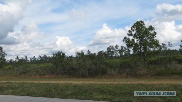 Флорида.Орландо.