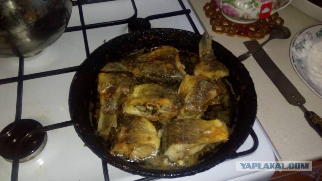 Рыбалка на реке Удыхын. Хабаровский край.