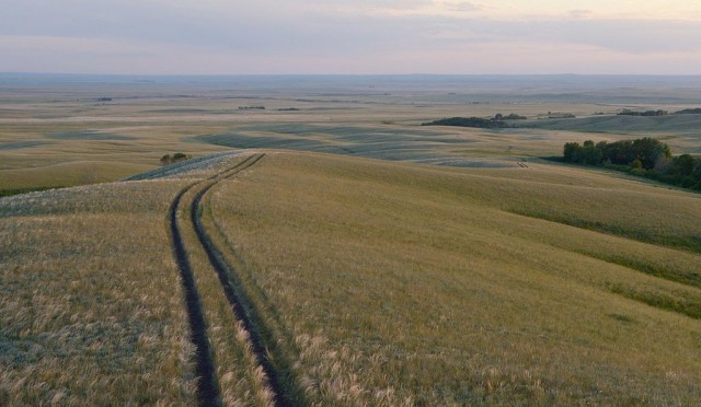 Картинки для отдыха глаз
