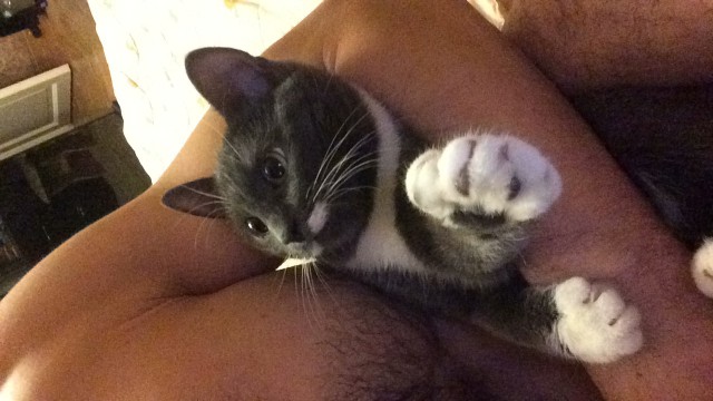 Покажи свою киску?