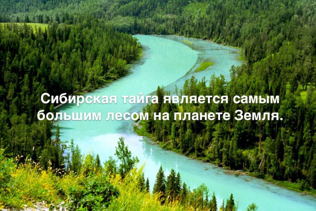 35 занимательных фактов