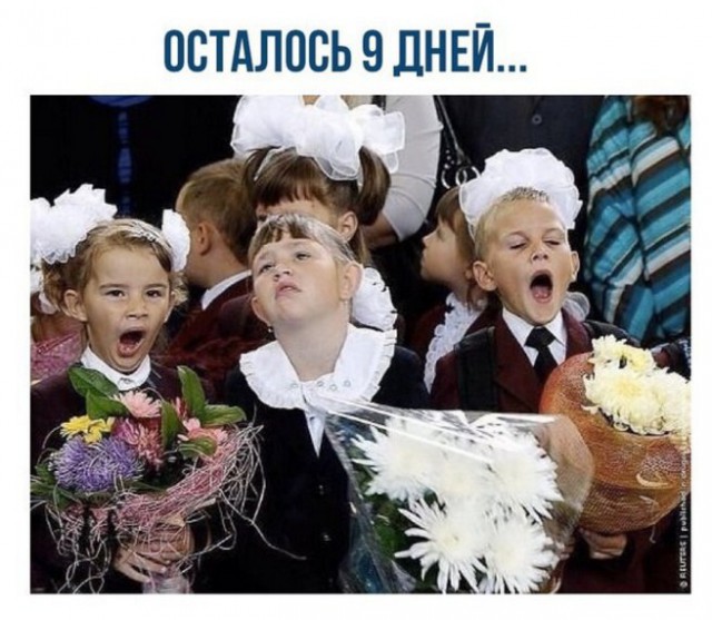 Картинки всякие разные