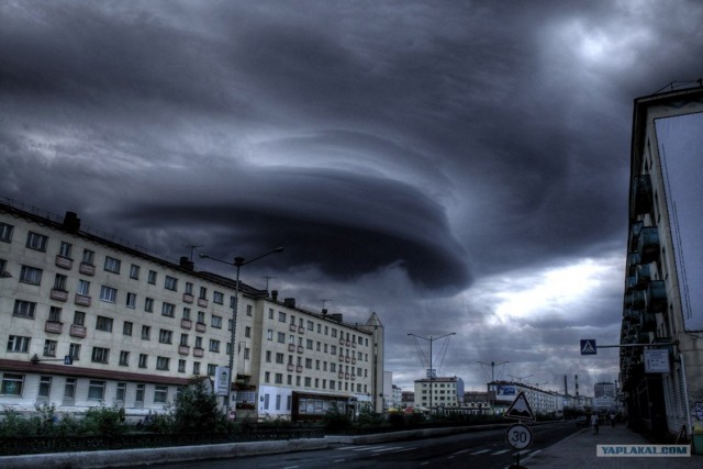 Подснежники гробы. г. Норильск