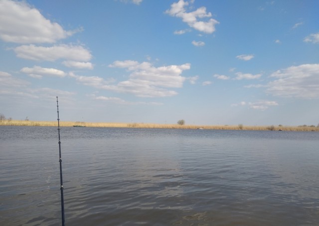 Сдам в аренду домик на берегу реки (астраханская область)