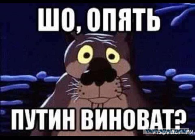 Путин увидел как ФСО оттолкнули ветерана