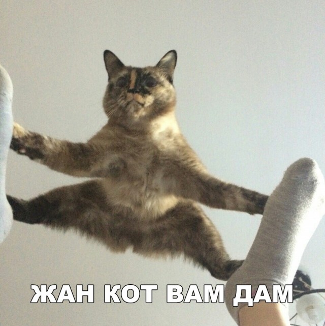 Немного милоты