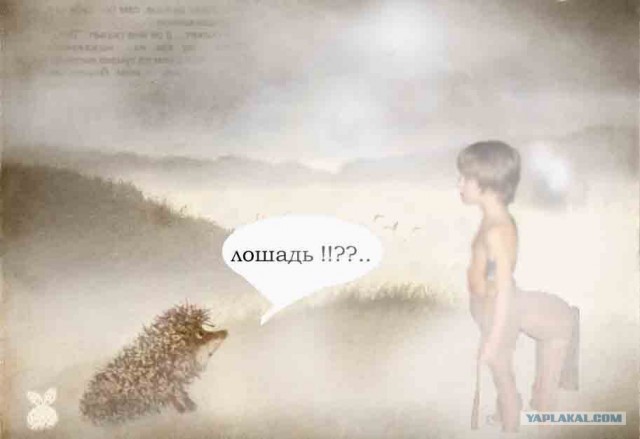 Мама, я теперь кентавр?