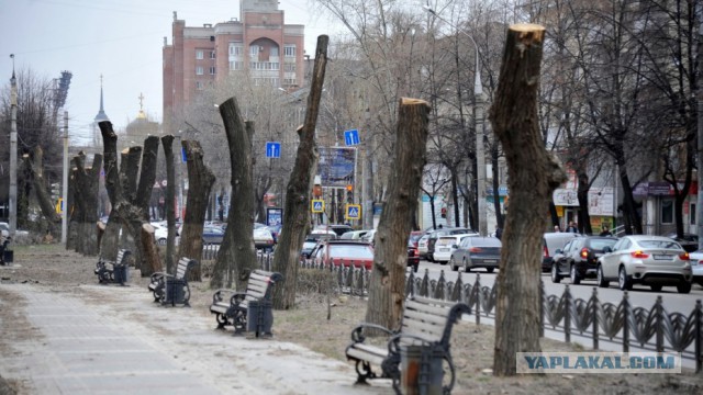 Жека застрял