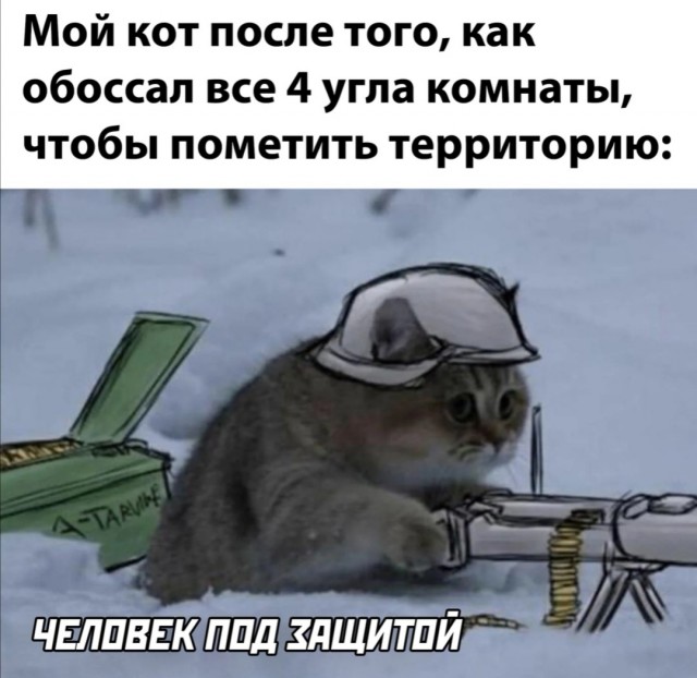 Фотки и картинки: юморные и красивые, забавные и милые 21.09.20
