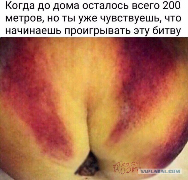 Казус