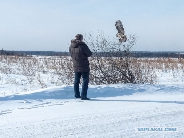 Мужик, ты чего пристал?