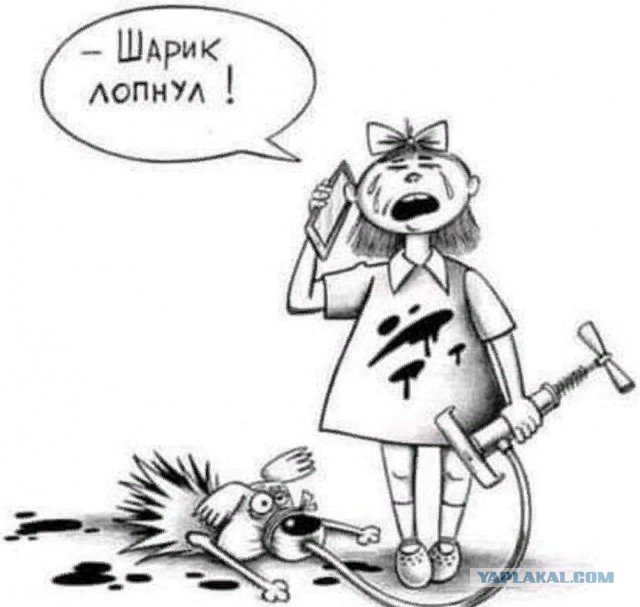 Стрессоустойчивость