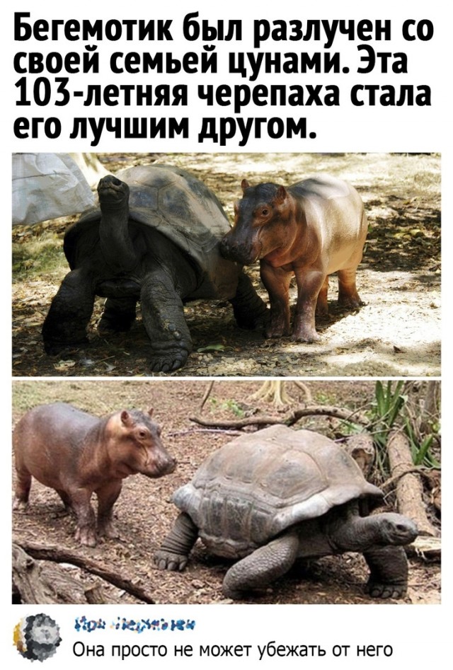 Так себе картинки 03.04.22