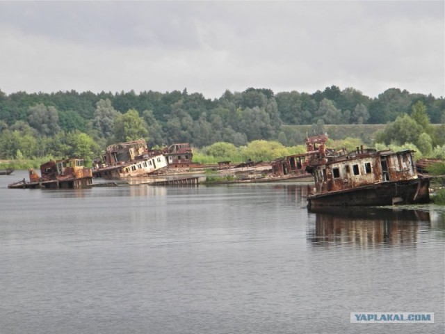 Мы и Тыгра. S.T.A.L.K.E.R.ы, через 12 стран