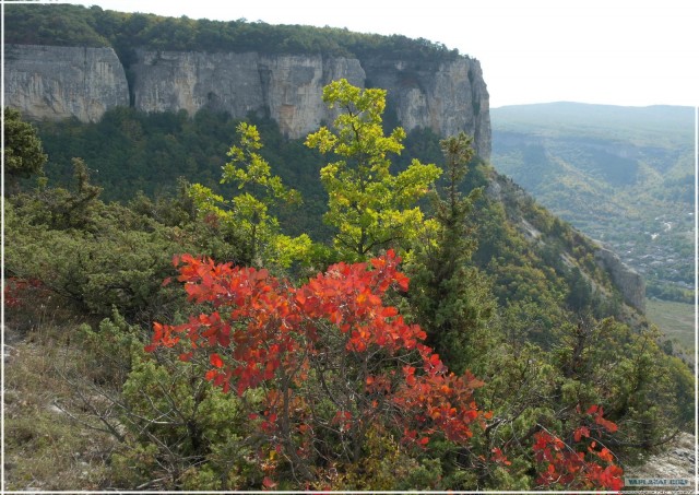 Крым. Змеиная балка. Терень-Джалга.