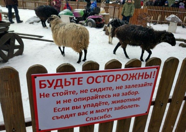 Немного картинок для настроения - 112