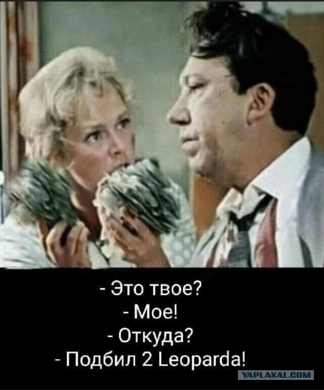 Первые леопарды прибыли