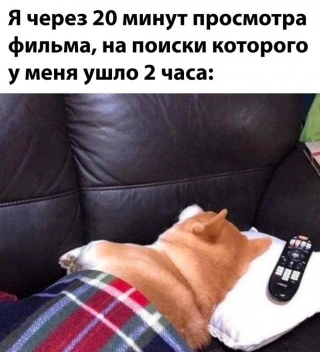 Весёлый полтишок 03.04.23