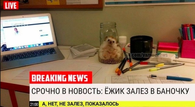 Всего понемногу. От 04.04.