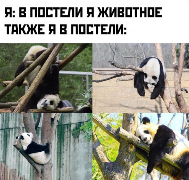 Картинки и мемы, всем хороших выходных