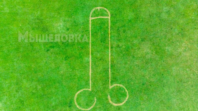 Гигантский пенис выстригли на газоне в месте празднования коронации короля Чарльза III
