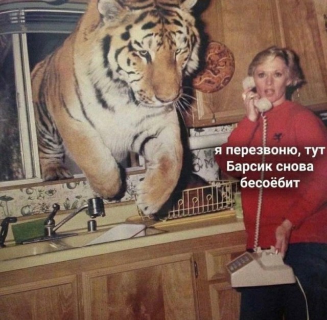 Скупка краденого из сети 04-06-2023