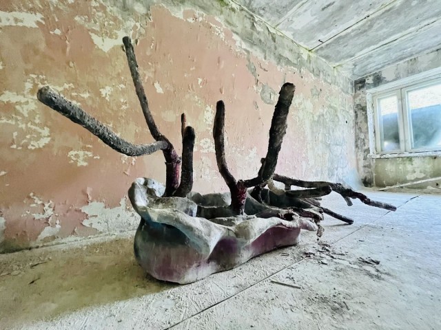 Заброшенный лагерь "Сказка" далеко не для детей со слабой психикой