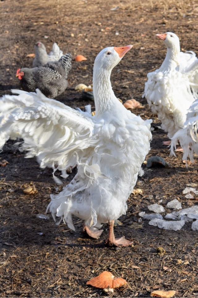 Так себе картинки 27.08.23