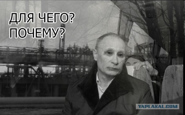 Грустный какойто, на лиса  похож