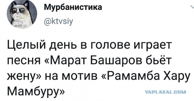 Всего понемногу. От 1.11.23
